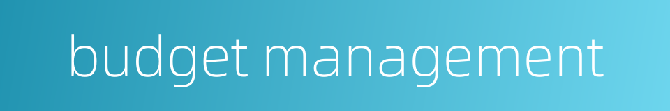 budget management的同义词
