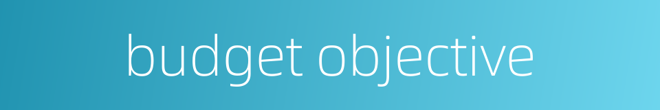 budget objective的同义词