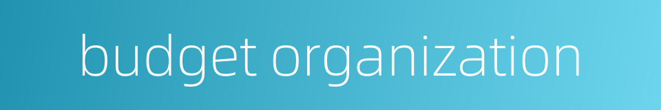 budget organization的同义词