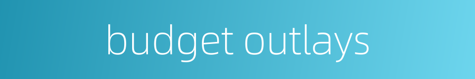 budget outlays的同义词