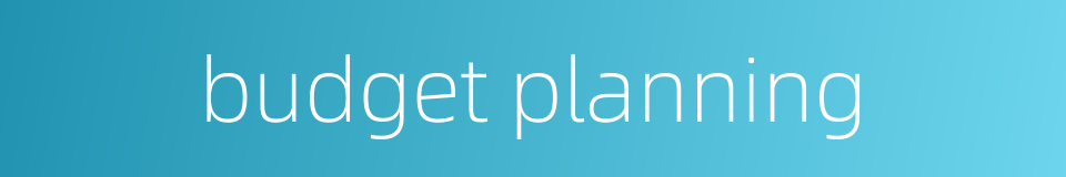 budget planning的同义词