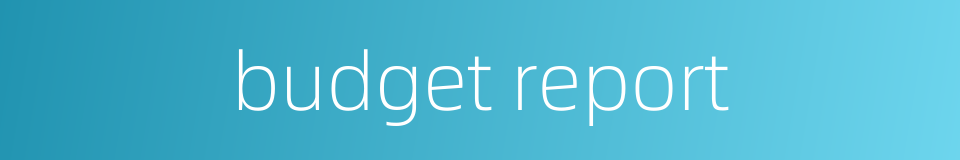 budget report的同义词