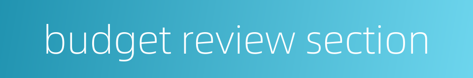budget review section的同义词