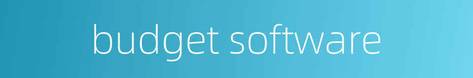 budget software的同义词
