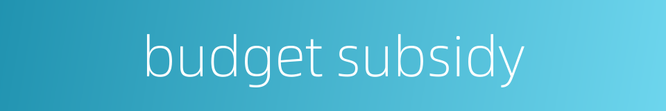 budget subsidy的同义词
