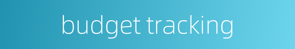 budget tracking的同义词