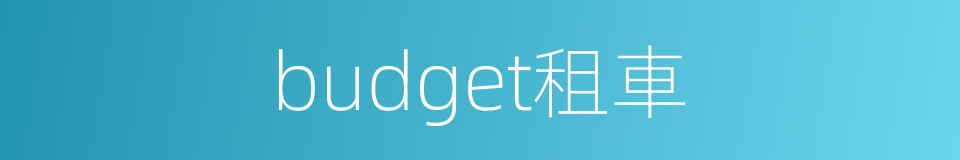 budget租車的同義詞