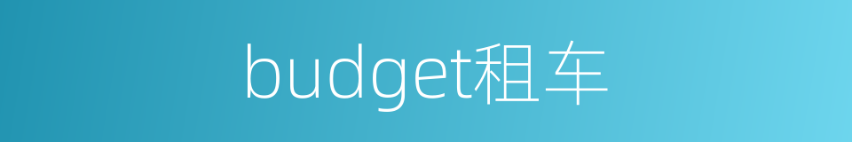 budget租车的同义词