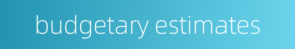 budgetary estimates的同义词