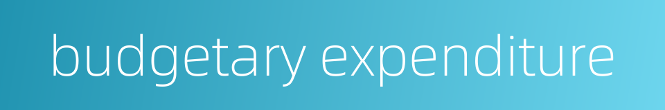 budgetary expenditure的同义词