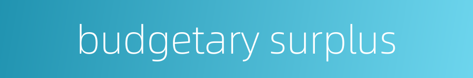 budgetary surplus的同义词