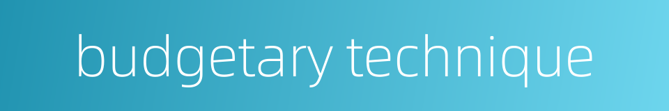 budgetary technique的同义词