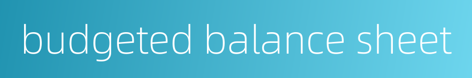 budgeted balance sheet的同义词