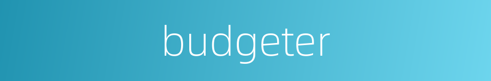 budgeter的同义词