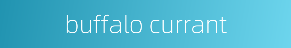 buffalo currant的同义词