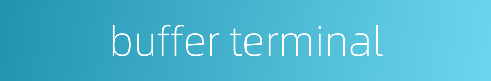 buffer terminal的同义词