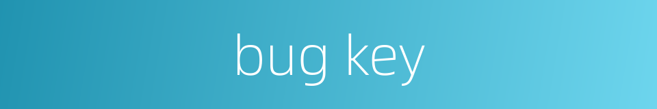 bug key的同义词