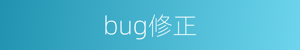 bug修正的同义词