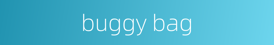 buggy bag的同义词