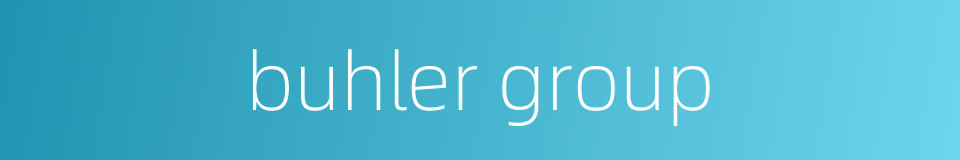 buhler group的同义词