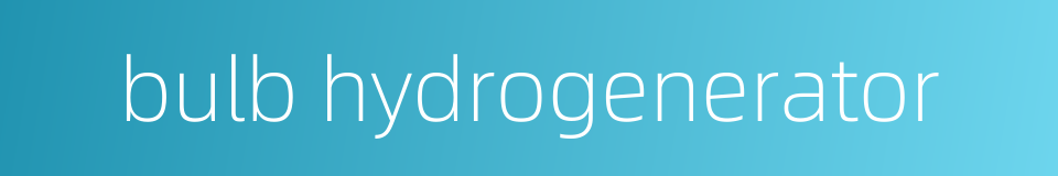 bulb hydrogenerator的同义词