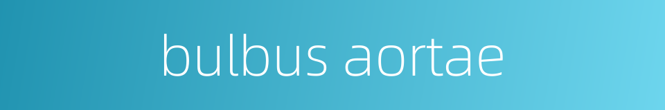 bulbus aortae的同义词