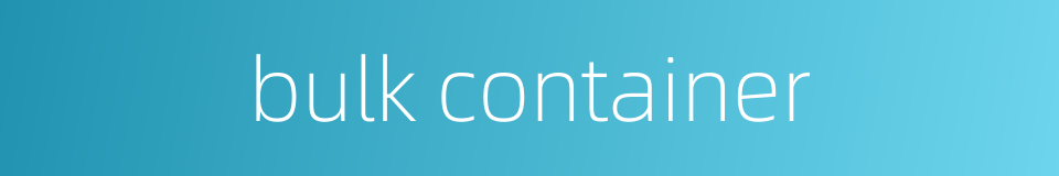 bulk container的同义词