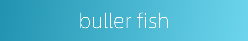 buller fish的同义词