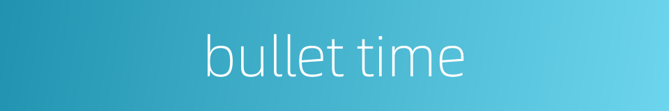 bullet time的同义词