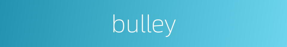 bulley的同义词