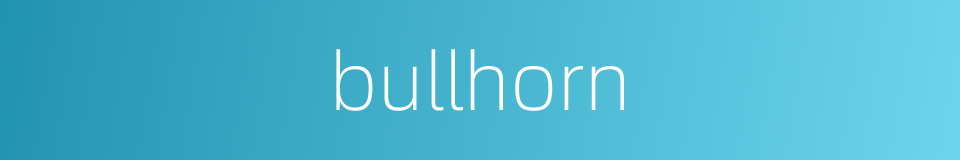 bullhorn的同义词