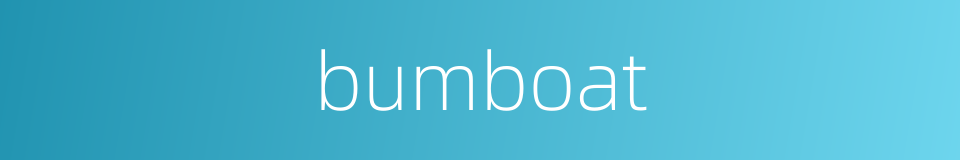 bumboat的同义词