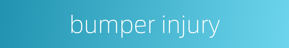 bumper injury的同义词