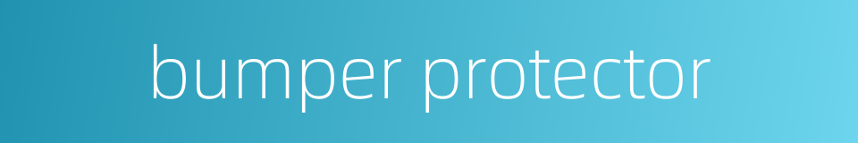 bumper protector的同义词