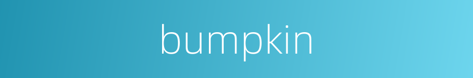 bumpkin的同义词