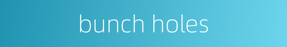 bunch holes的同义词