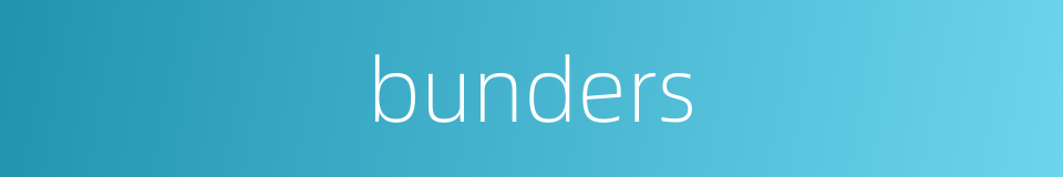 bunders的同义词