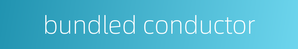 bundled conductor的同义词