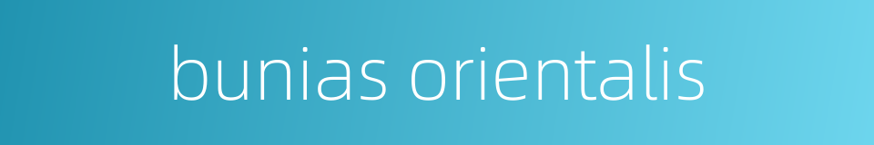 bunias orientalis的同义词