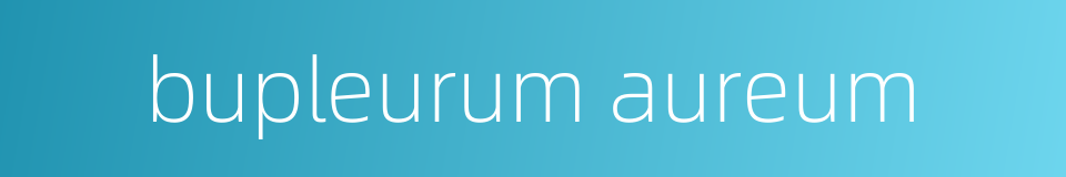 bupleurum aureum的同义词