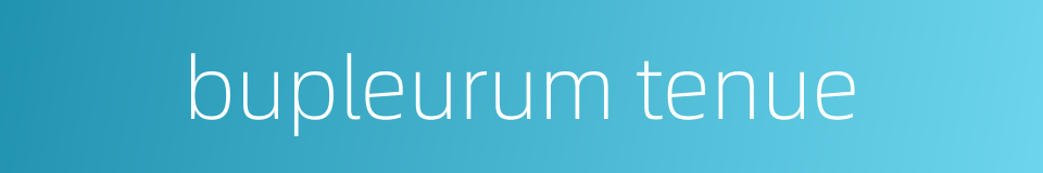 bupleurum tenue的同义词