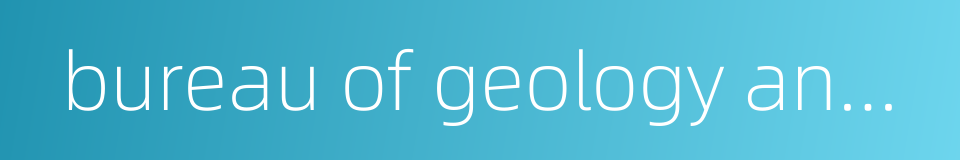 bureau of geology and mineral resources的同义词