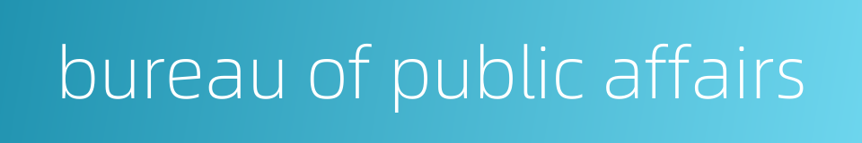 bureau of public affairs的同义词