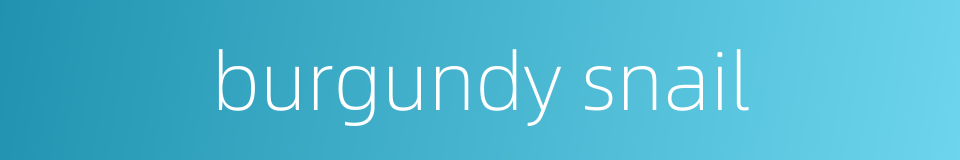 burgundy snail的同义词