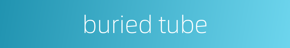buried tube的同义词