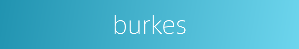 burkes的同义词