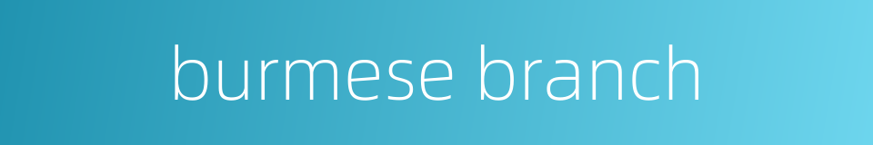 burmese branch的同义词