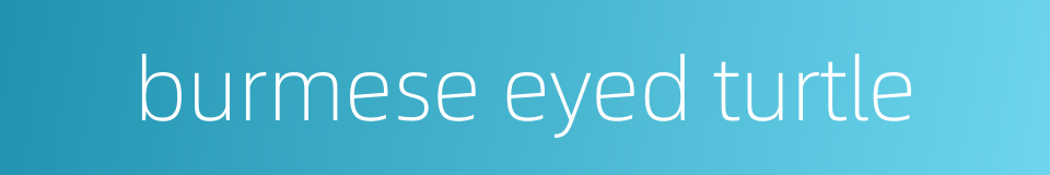 burmese eyed turtle的同义词