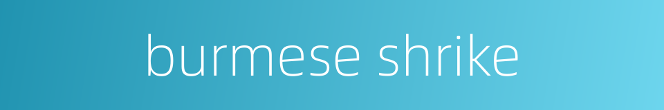 burmese shrike的同义词