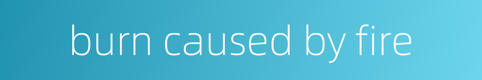 burn caused by fire的同义词